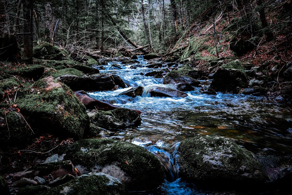 Iridescent Imagery | 24B Irving St, Dartmouth, NS B2W 1J9, Canada | Phone: (902) 412-1845