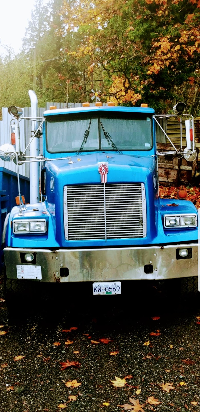 Blue Bin Rental Ltd | 14744 90 Ave, Surrey, BC V3R 1A4, Canada | Phone: (604) 499-2222