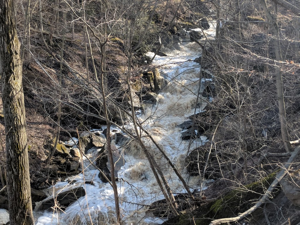 Trail Head- Bruce Side Trail | 4E7, Bruce Trail, Grimsby, ON L3M 3K1, Canada