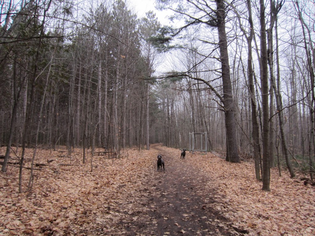 NCC Greenbelt P14 | W Hunt Club Rd, Ottawa, ON K2G 0C4, Canada
