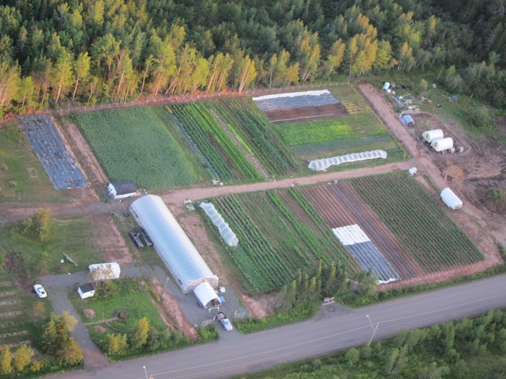 Codiac Organics Ltd. | 1176 Ryan St., Moncton, NB E1G 2V6, Canada | Phone: (506) 870-0772