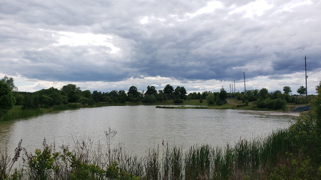 Crew Cut Property Maintenance Inc | 152 Lakeview Rd, Newcastle, ON L1B 1C8, Canada | Phone: (905) 809-5604