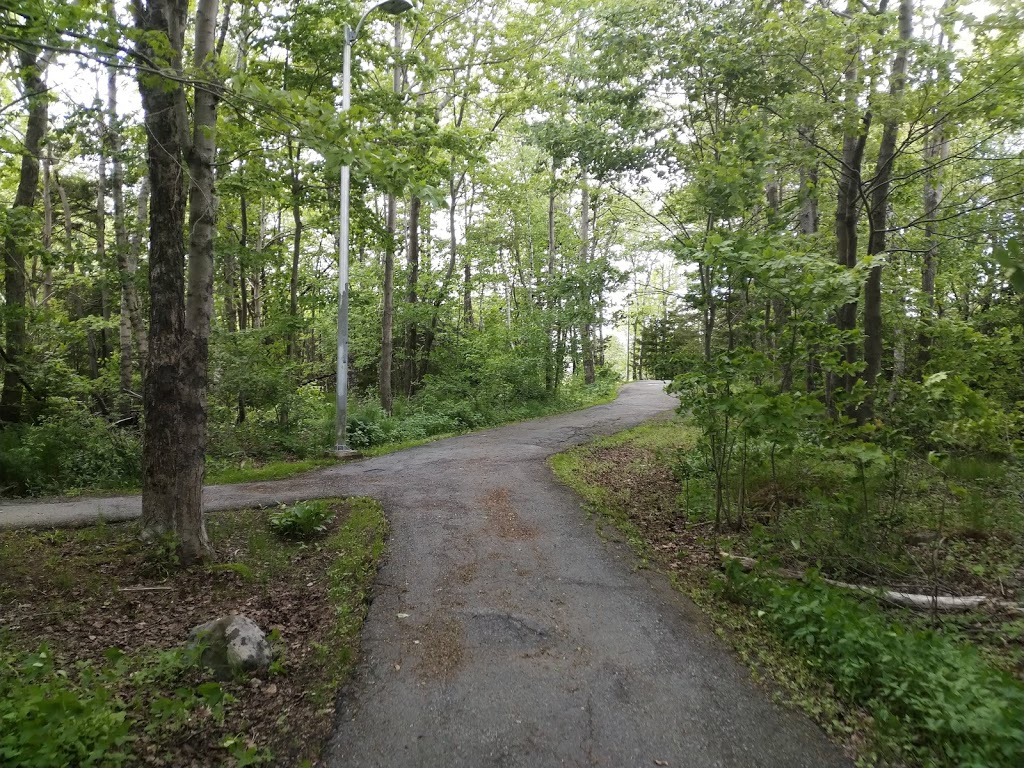Tremont Plateau Park | 45 Trailwood Pl, Halifax, NS B3M 1X5, Canada