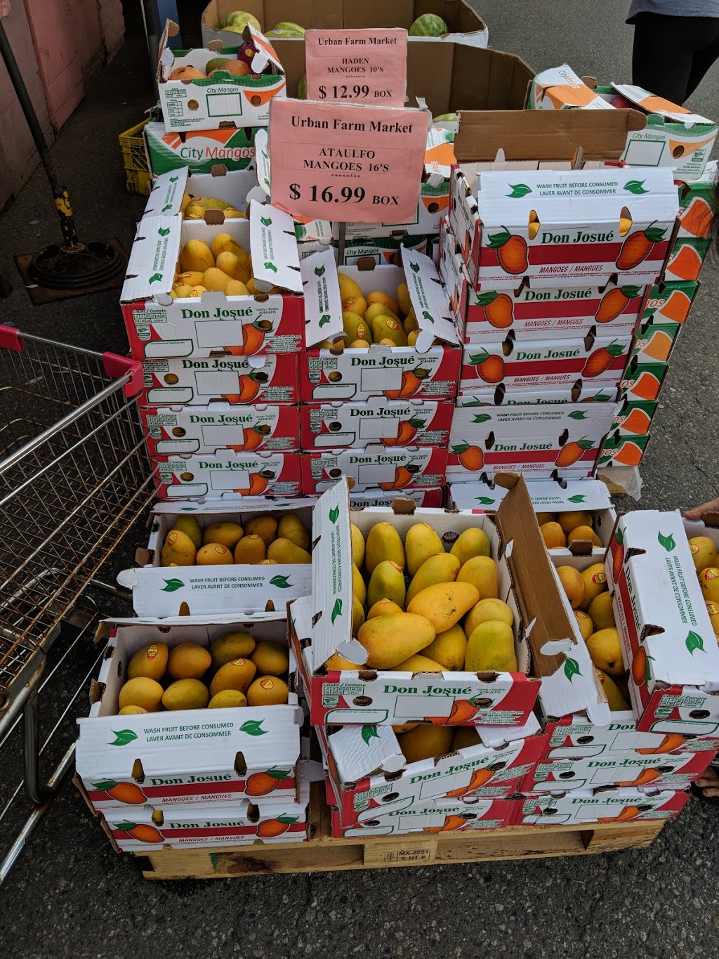 Urban Farm Market | 11900 Westminster Hwy, Richmond, BC V6X 1B3, Canada | Phone: (604) 279-8845