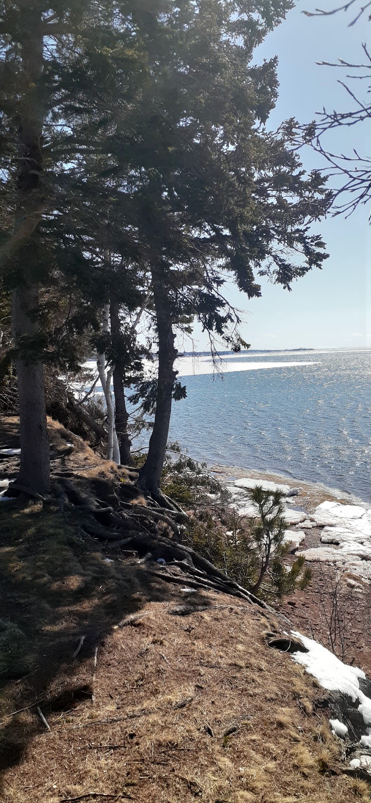 Beach Grove Home | 200 Beach Grove Rd, Charlottetown, PE C1E 1L3, Canada | Phone: (902) 368-6750