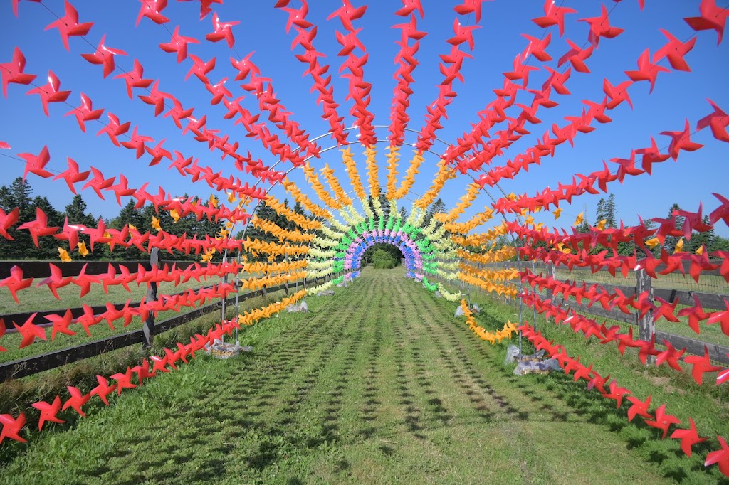 Pinwheel Farm PEI | 17208 All Weather Hwy, Milton Station, PE C1E 0W9, Canada | Phone: (782) 377-6714