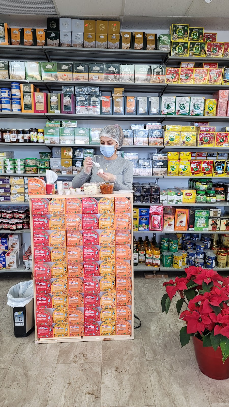 MaMello.ca | 216 Purdy Rd, Colborne, ON K0K 1S0, Canada | Phone: (416) 841-7138