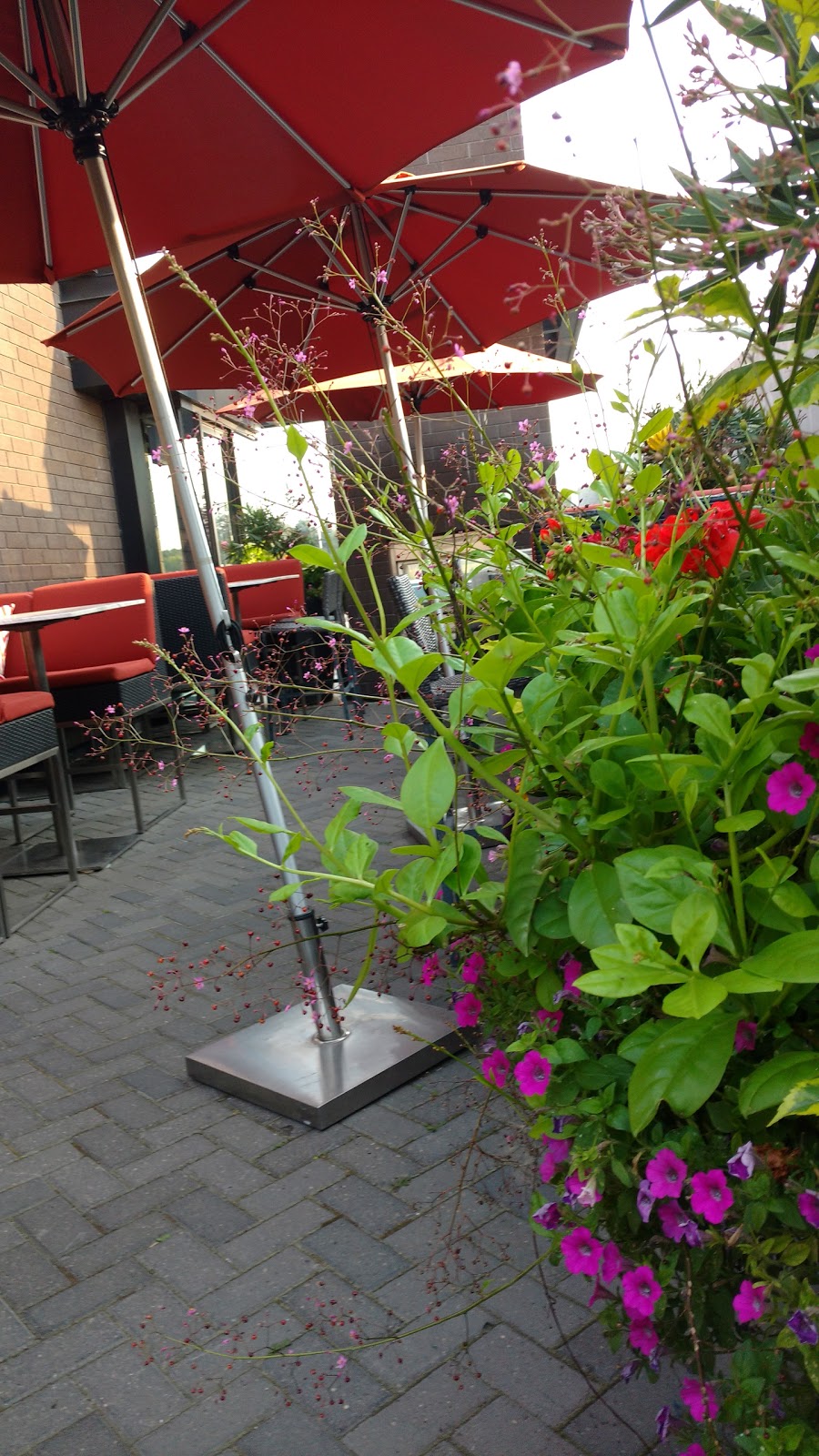 Earls Kitchen + Bar | 194 Ordze Ave, Sherwood Park, AB T8B 1M6, Canada | Phone: (780) 449-2575