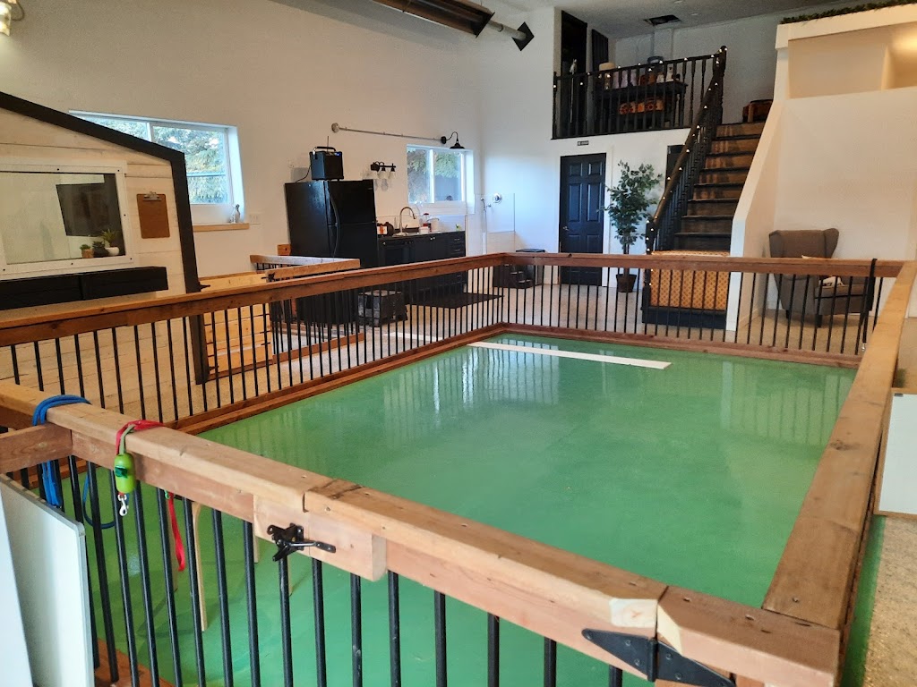 Little Treetops Pet Resort | 262108, Range Rd 43, Cochrane, AB T4C 1B8, Canada | Phone: (403) 851-0341