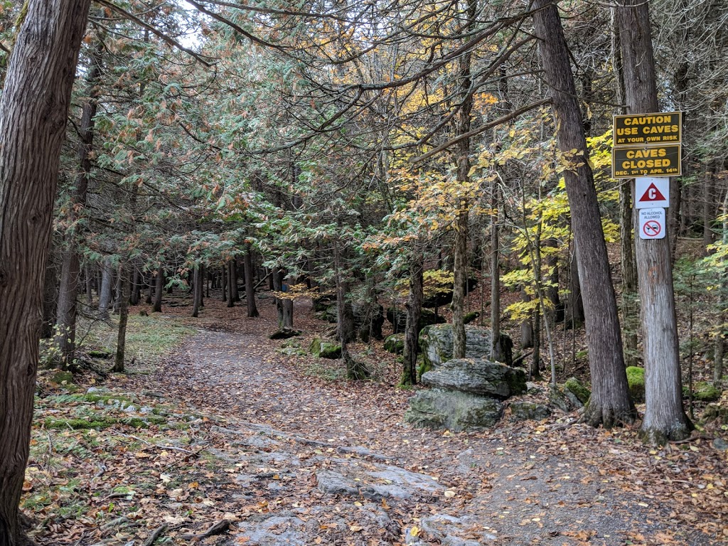 Warsaw Caves Conservation Area and Campground | 289 Caves Rd, Warsaw, ON K0L 3A0, Canada | Phone: (705) 652-3161