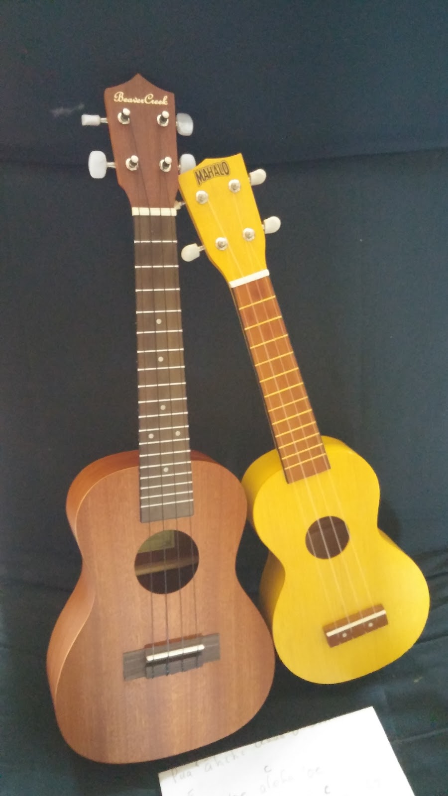 Interesting Music Shoppe | 20940 Brock Rd, Wilfrid, ON L0E 1N0, Canada | Phone: (705) 437-4495