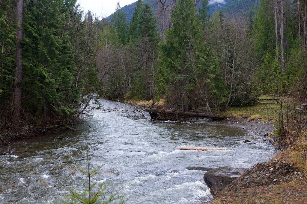 Gold Panner Campground | 423 B Highway 6, Cherryville, BC V0E 2G3, Canada | Phone: (250) 463-4653