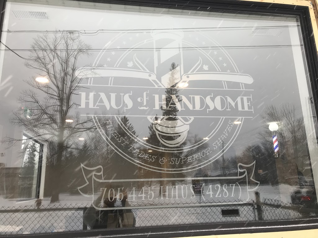 Haus of Handsome | 588 Hurontario St, Collingwood, ON L9Y 2N4, Canada | Phone: (705) 445-4287