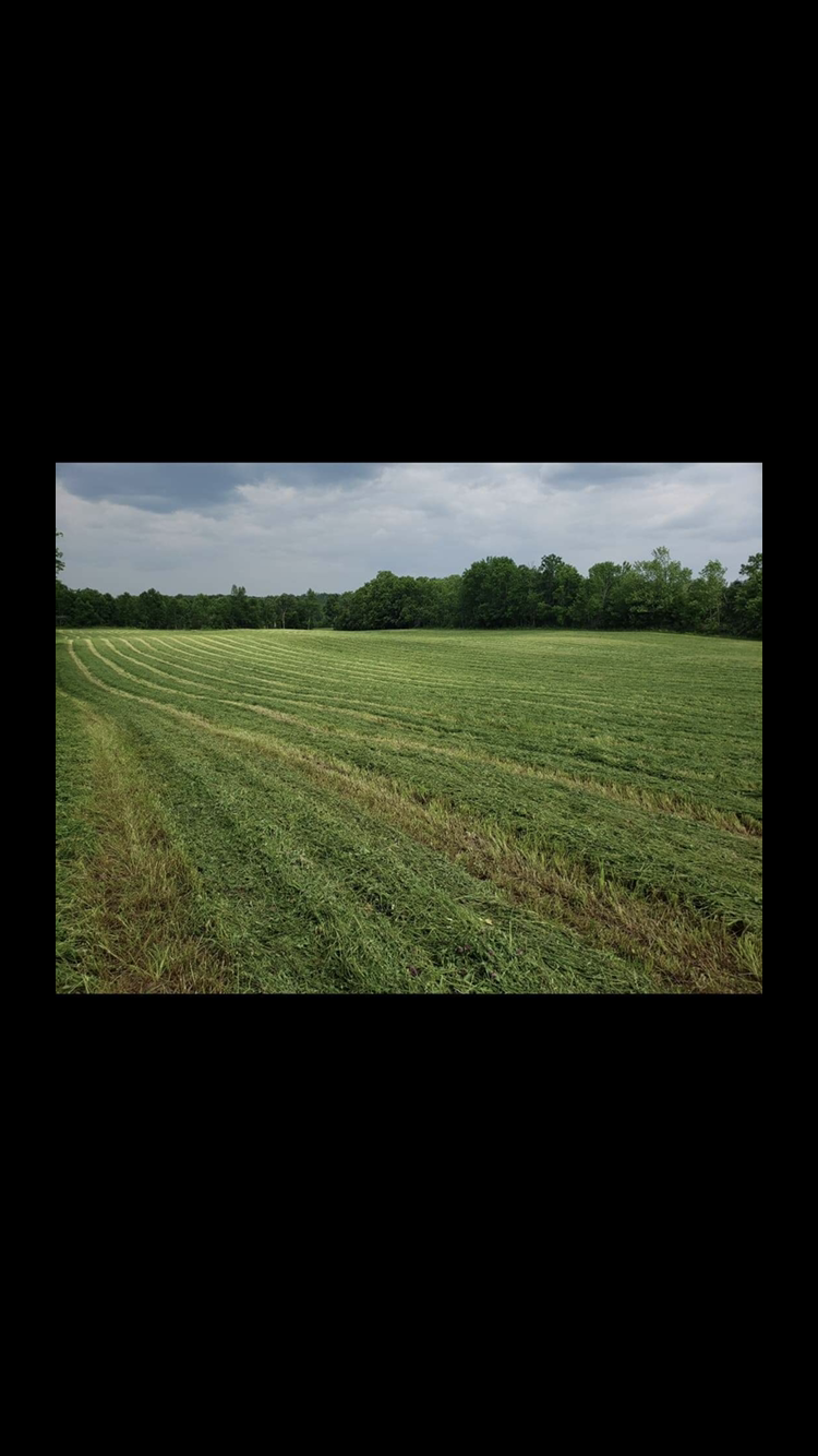 MadocCreek Farm | 642 Woods Rd, Madoc, ON K0K 2K0, Canada | Phone: (613) 403-4886