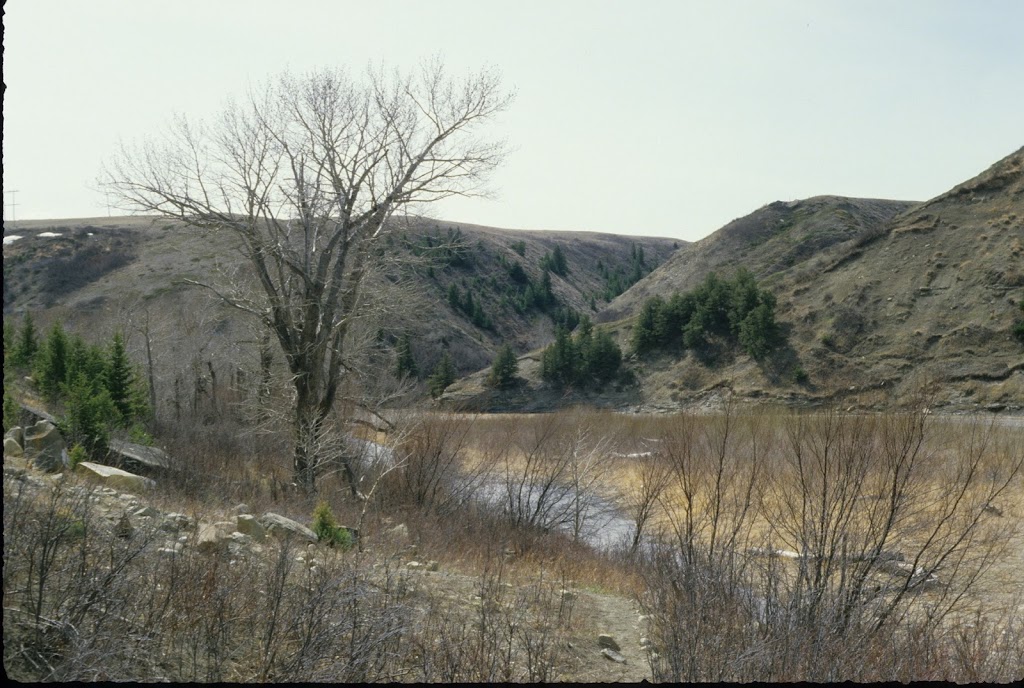 Oldman River North Provincial Recreation Area | Ranchland No. 66, AB T0K 0M0, Canada | Phone: (403) 627-1165