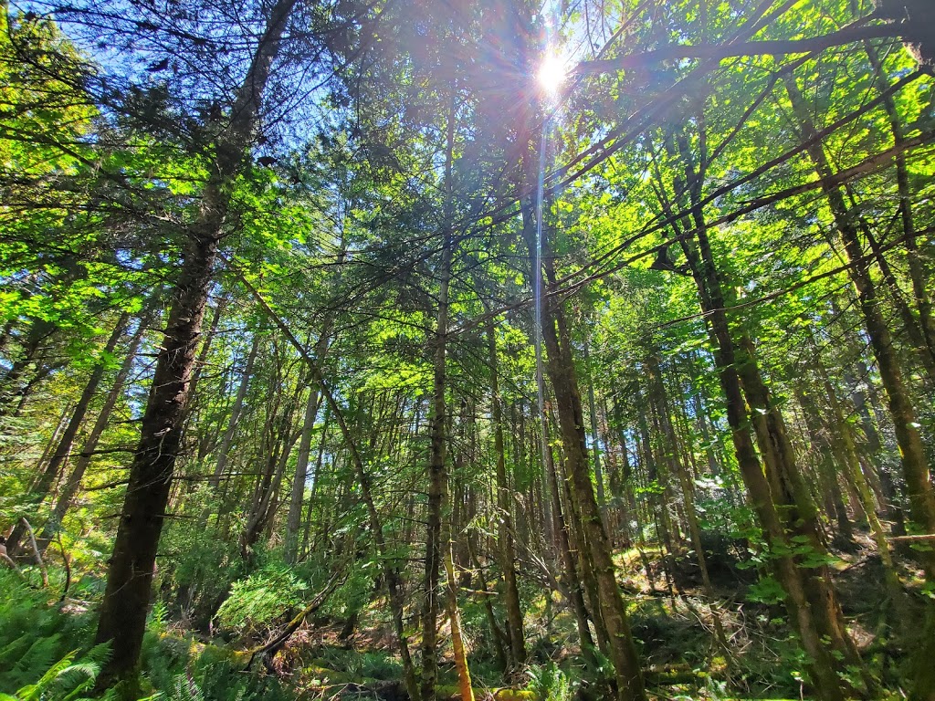 Notch Hill Park | 9G2, Powder Point Rd, Nanoose Bay, BC V9P 9G2, Canada | Phone: (250) 390-4111
