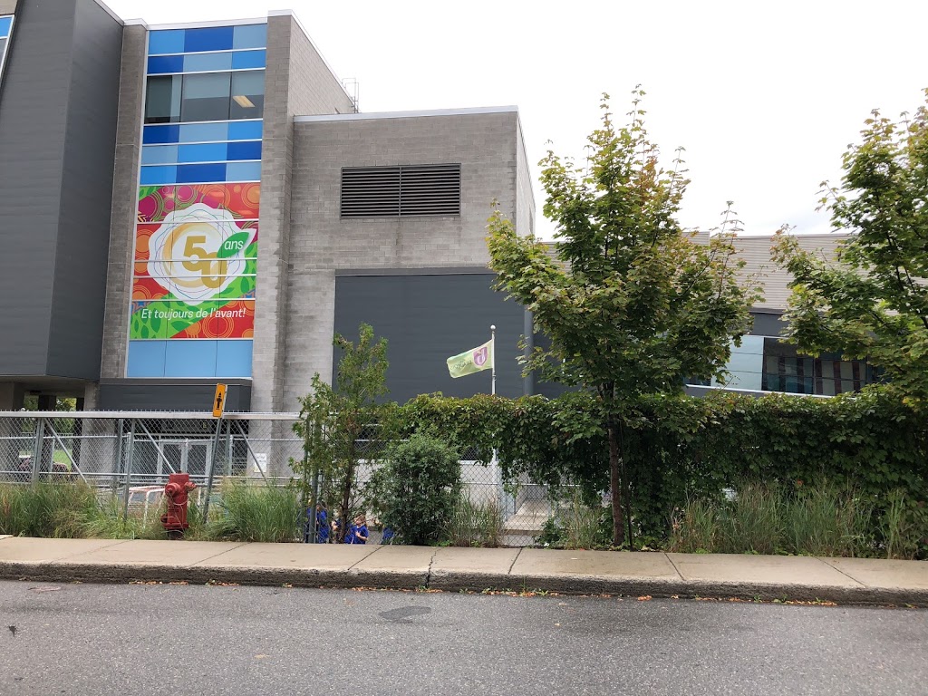 Middle School Beaubois | 4901 Rue du Collège - Beaubois, Pierrefonds, QC H8Y 3T4, Canada | Phone: (514) 684-7642