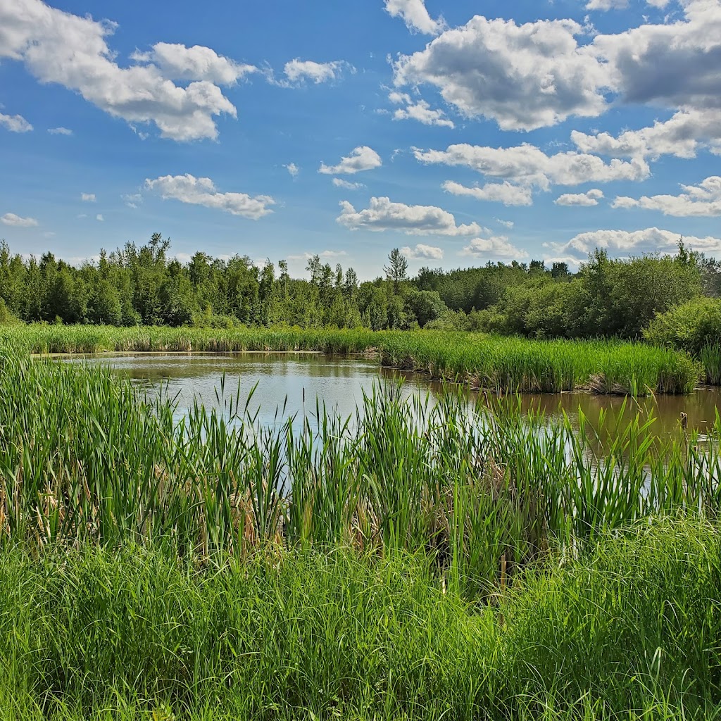 Strathcona Wilderness Centre | 52535 Range Rd 212, Ardrossan, AB T8G 2E9, Canada | Phone: (780) 922-3939
