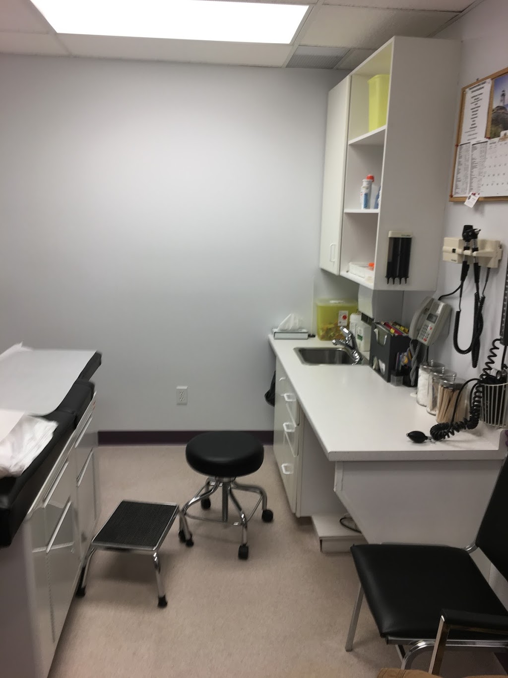 Palmerston Medical Clinic | 207 Main St W, Palmerston, ON N0G 2P0, Canada | Phone: (519) 343-5000