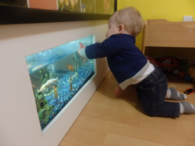 Hamis Playhouse Infant & Toddler Daycare | 1158 Hansard Crescent, Coquitlam, BC V3C 4W7, Canada | Phone: (604) 518-6147