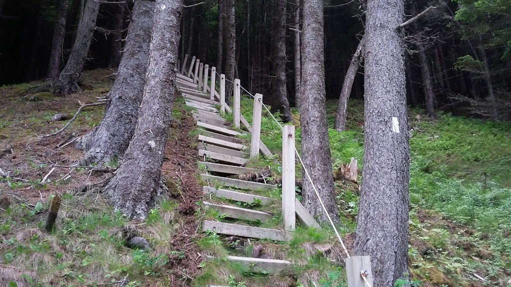 Cradle Brook - UNESCO Fundy Biosphere Reserve Amazing Place | Saint Martins Parish, NB E5R, Canada | Phone: (506) 874-3272
