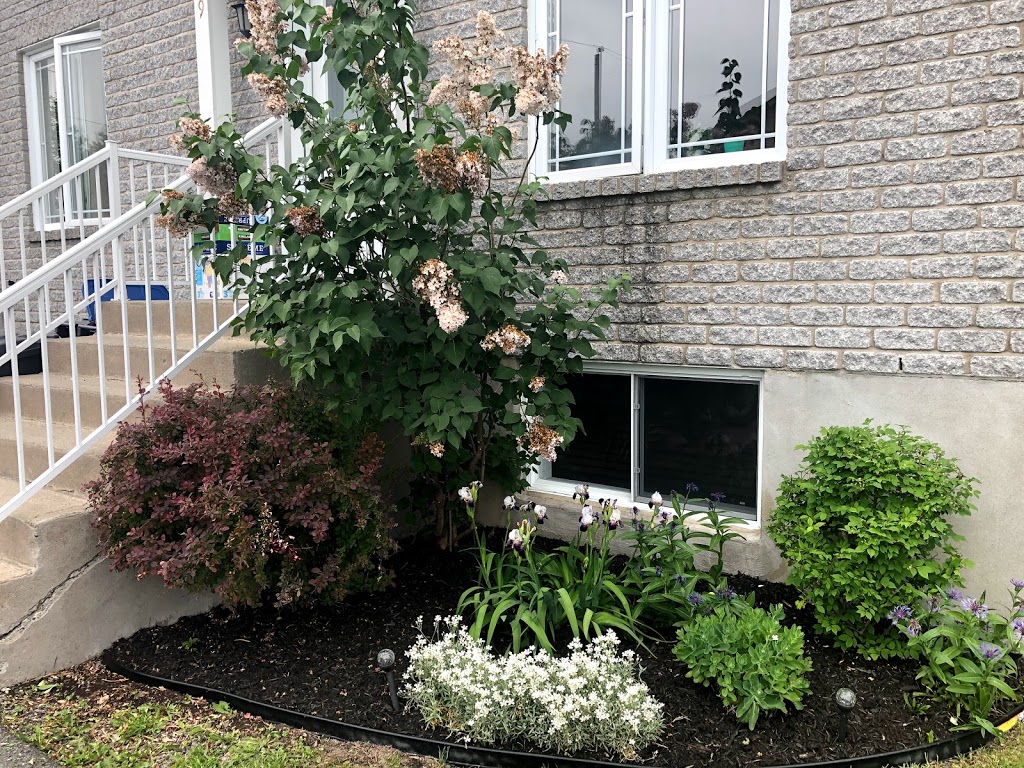 nico multiserv | 40 Rue Laurent-Tremblay, Mont-Saint-Grégoire, QC J0J 1K0, Canada | Phone: (514) 430-2426