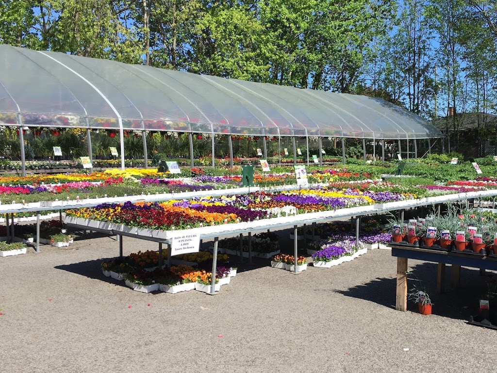 Les Serres Lahaie | 420 2e Avenue, Saint-Jean-sur-Richelieu, QC J2X 2B7, Canada | Phone: (514) 444-6857