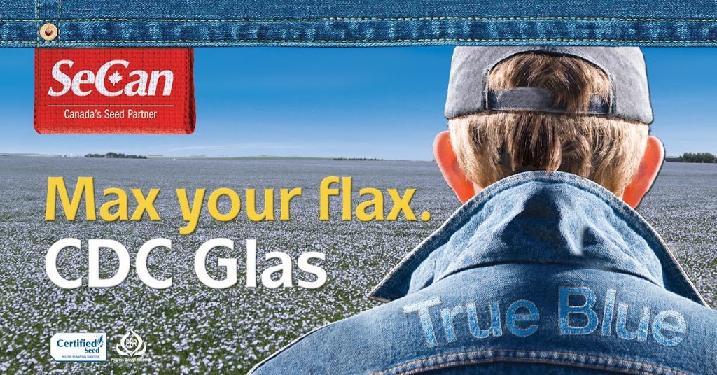 Blumer Seeds | HWY 44, SK-42, Dinsmore, SK S0L 0T0, Canada | Phone: (306) 460-7744