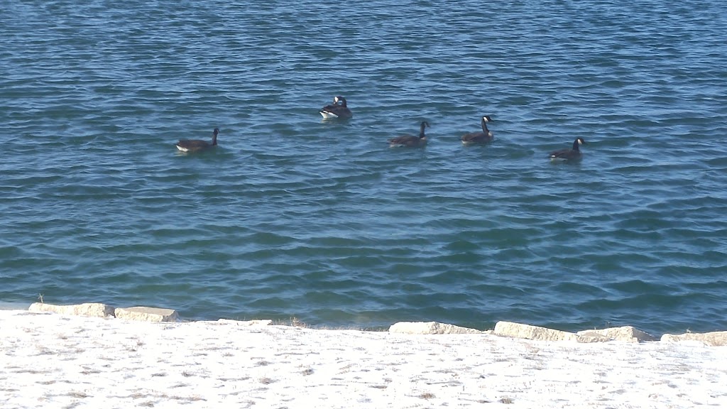 The Lakes | 5901 Lapeer Rd, Smiths Creek, MI 48074, USA | Phone: (810) 966-8000