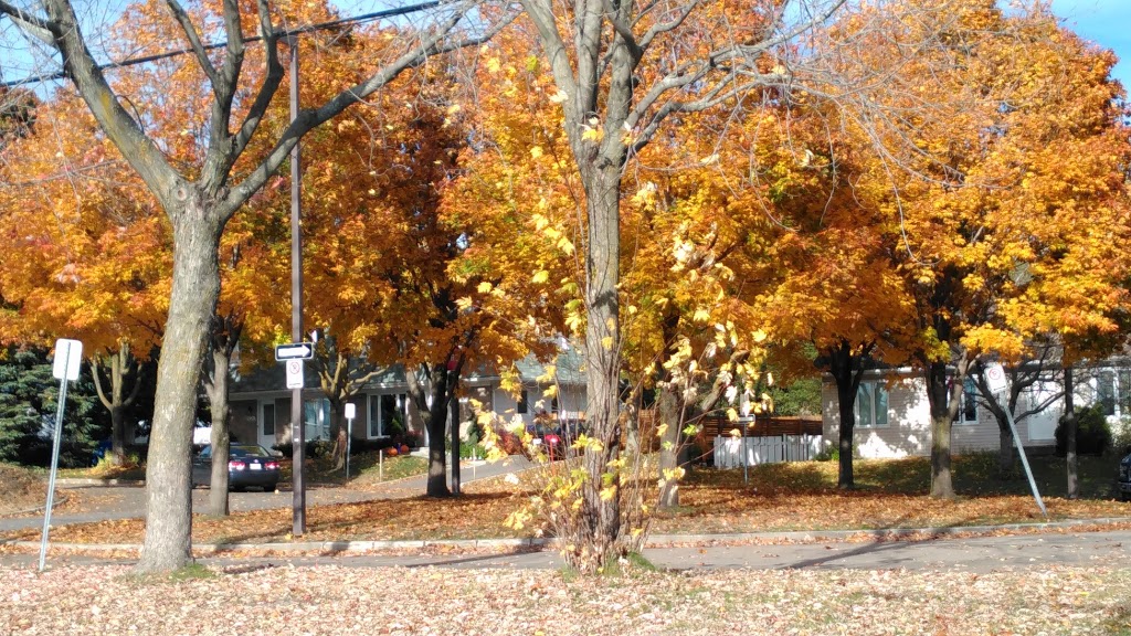 The Escarpment Park | Boulevard Lebourgneuf, Québec, QC G2C, Canada | Phone: (418) 641-6290