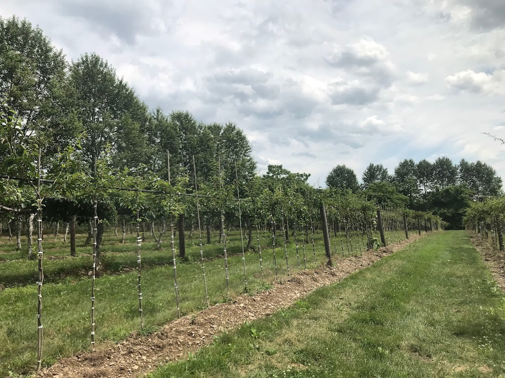 La Ferme du Mihouli | 9 Rang de la Barbotte, Lacolle, QC J0J 1J0, Canada | Phone: (514) 944-5373