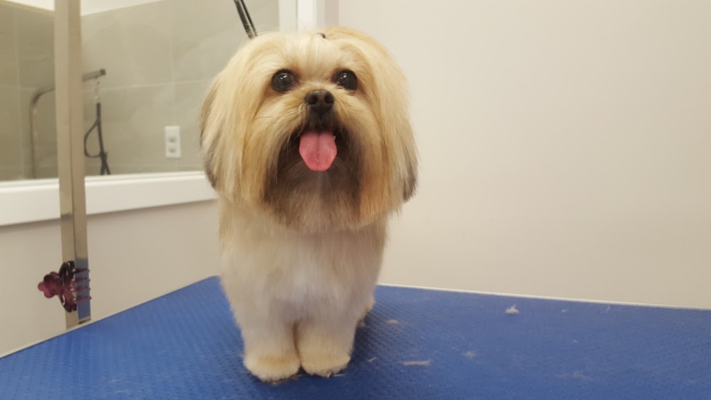 Top Dog Boutique and Spa Inc | 9184 Yonge St #15, Richmond Hill, ON L4C 7A1, Canada | Phone: (905) 882-1288