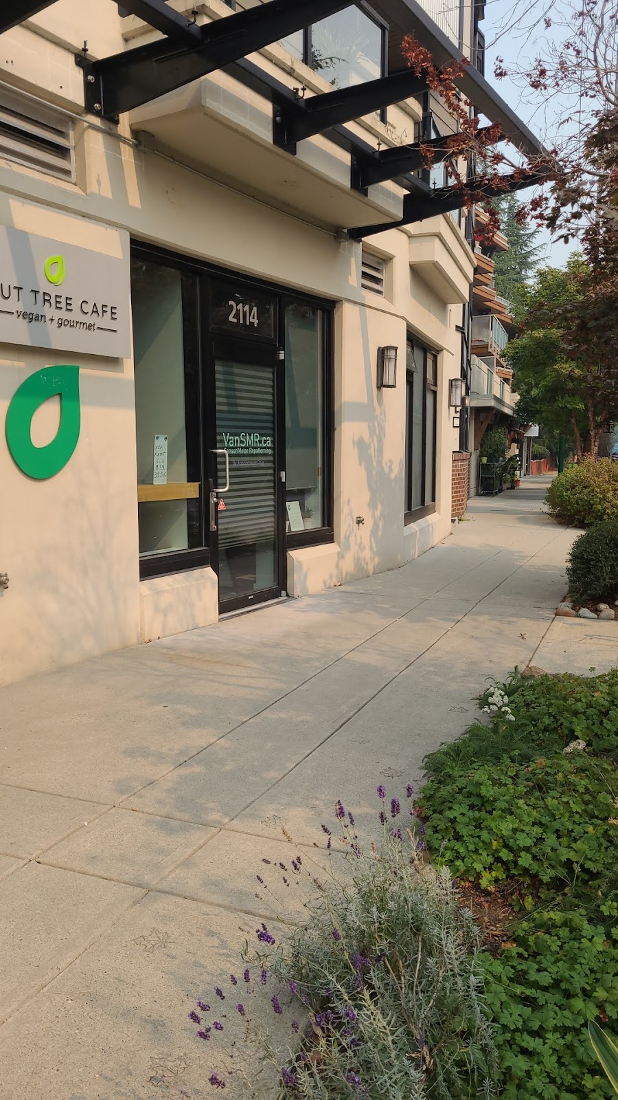 Vancouver SensoriMotor Repatterning | 2114 Old Dollarton Rd, North Vancouver, BC V7H 1W3, Canada | Phone: (604) 902-3825