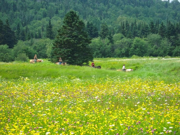 Camping and Ranch du Fjord | 604 Rte de la Grande Alliance, Baie-Sainte-Catherine, QC G0T 1A0, Canada | Phone: (418) 237-4230