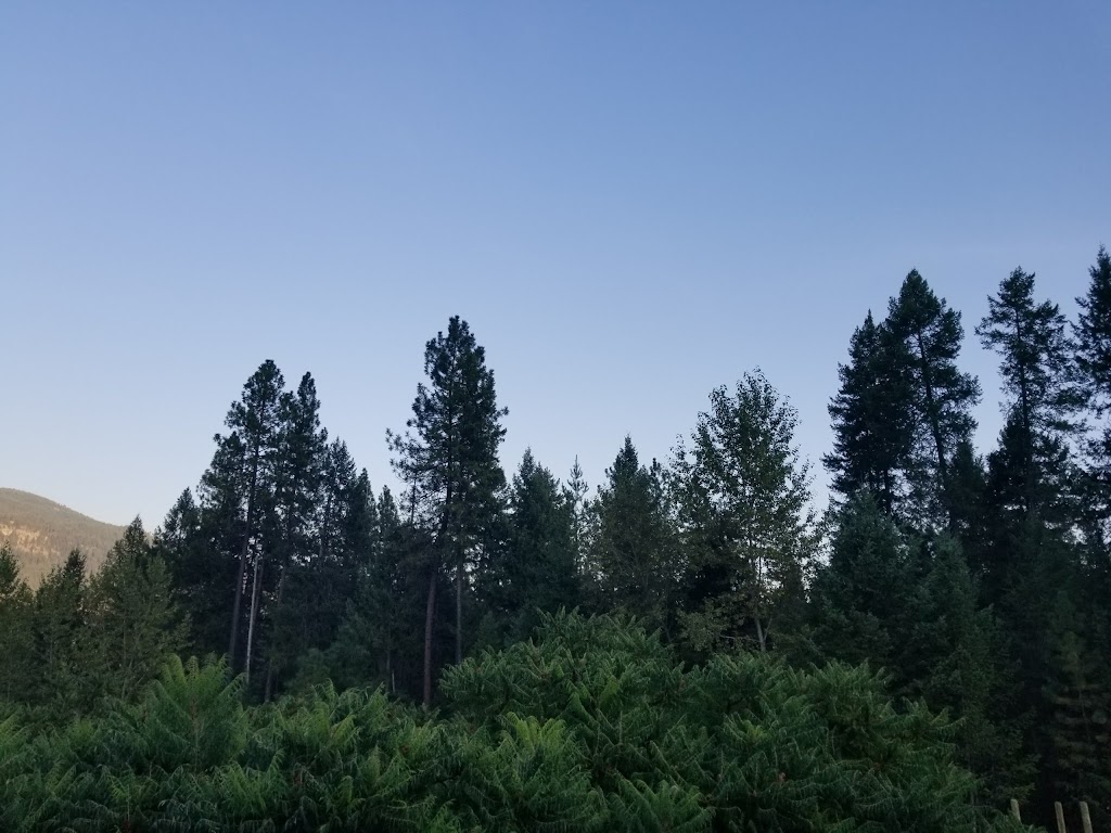 Woodnoteacres | 1408 Thompson Rd, Grand Forks, BC V0H 1H9, Canada | Phone: (403) 330-6556