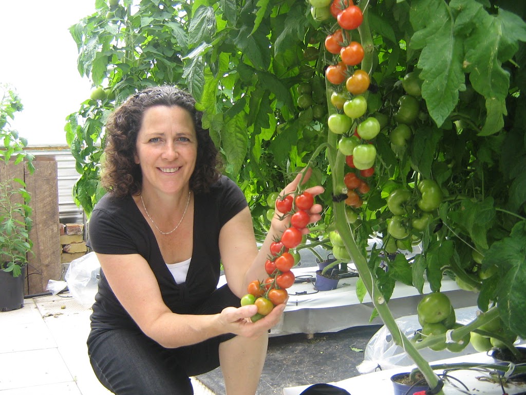 Les Serres Ariane | 537 2e Rang E, Saint-Joachim-de-Shefford, QC J0E 2G0, Canada | Phone: (450) 539-4166