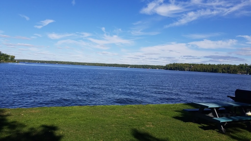 Clearview Cottage Resort & Marina | 462 S Beach Rd, Youngs Point, ON K0L 3G0, Canada | Phone: (705) 652-3542