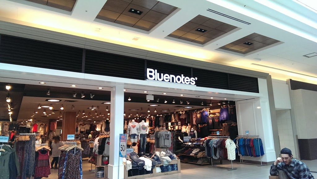 Bluenotes | 550 King St N Unit #A6, Waterloo, ON N2L 5W6, Canada | Phone: (519) 886-6811