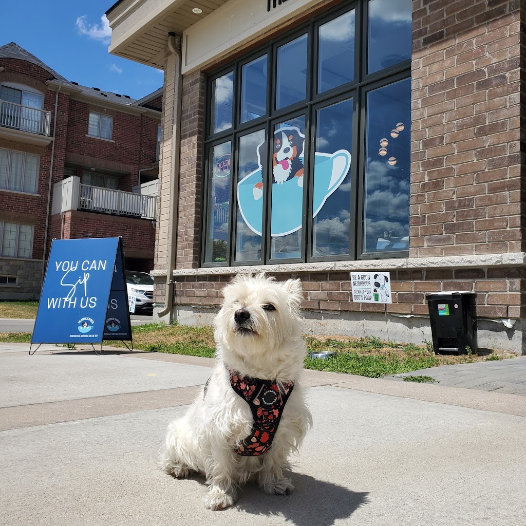 The Bernese Barista | 6 Nipigon Ave, Markham, ON L6C 1N7, Canada | Phone: (905) 927-9555