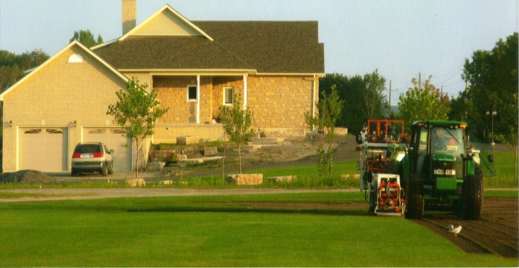 All Green Sod Growers | 4100 Green Rd, Hampton, ON L0B 1J0, Canada | Phone: (905) 263-2213