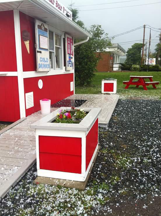 Polar Bear Express Ice Cream | 7895 Nova Scotia Trunk 7, Musquodoboit Harbour, NS B0J 2L0, Canada | Phone: (902) 889-3371
