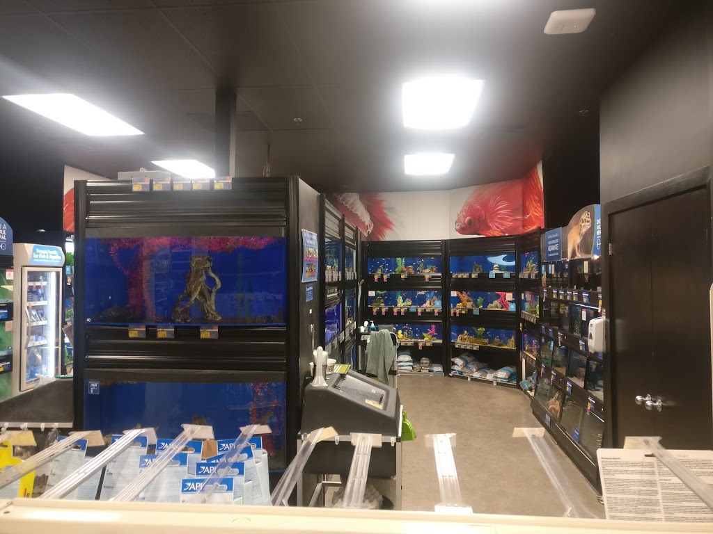 PetSmart | 3105 Argentia Rd, Mississauga, ON L5N 8P7, Canada | Phone: (905) 785-2816
