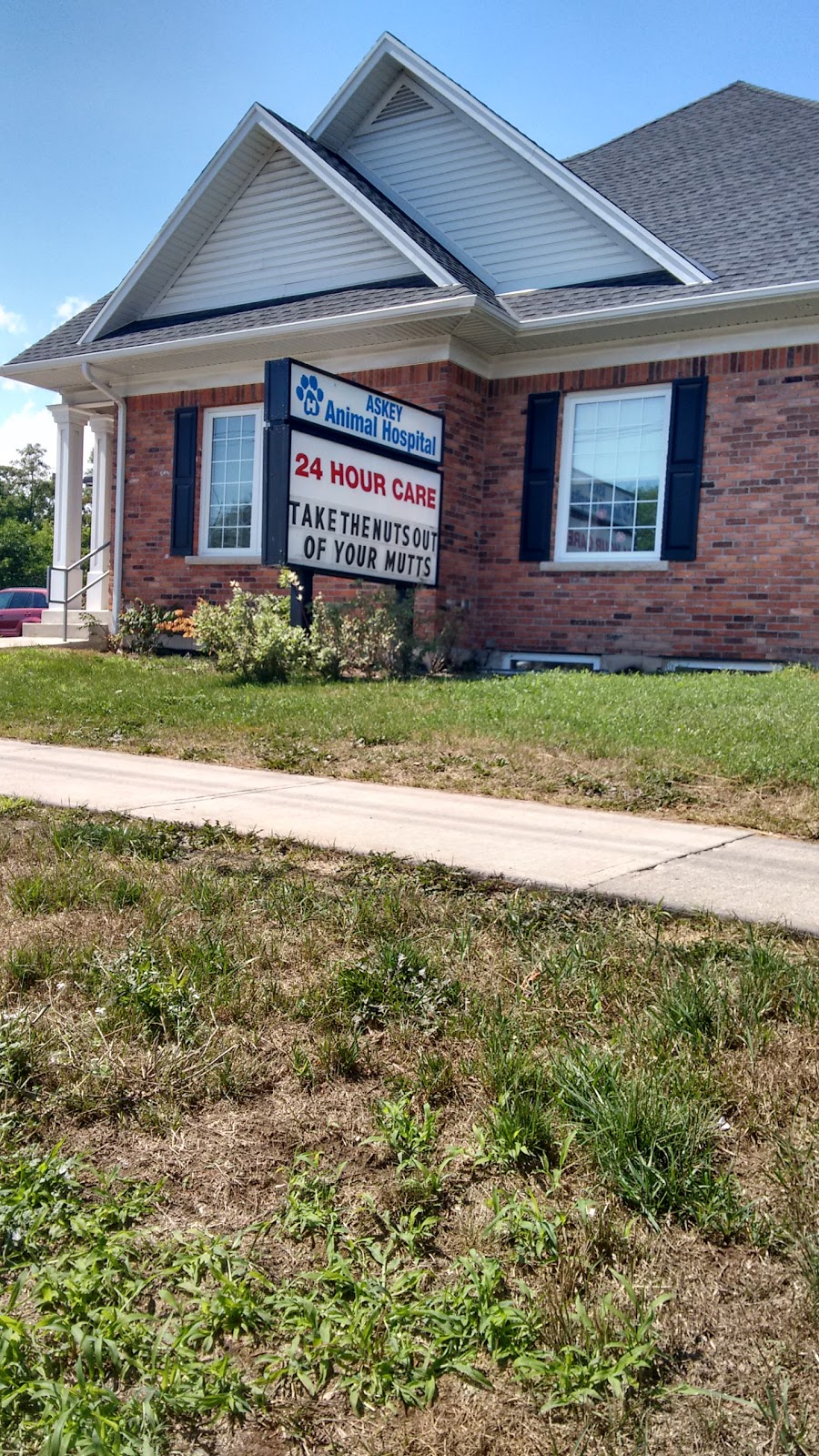 Askey Animal Hospital | 3525 Fairview St, Burlington, ON L7N 2R4, Canada | Phone: (905) 634-9088
