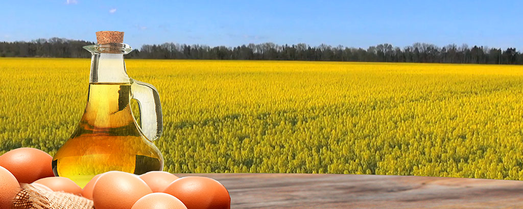 McDonalds | 870 Tower St S, Fergus, ON N1M 2P6, Canada | Phone: (519) 787-5125