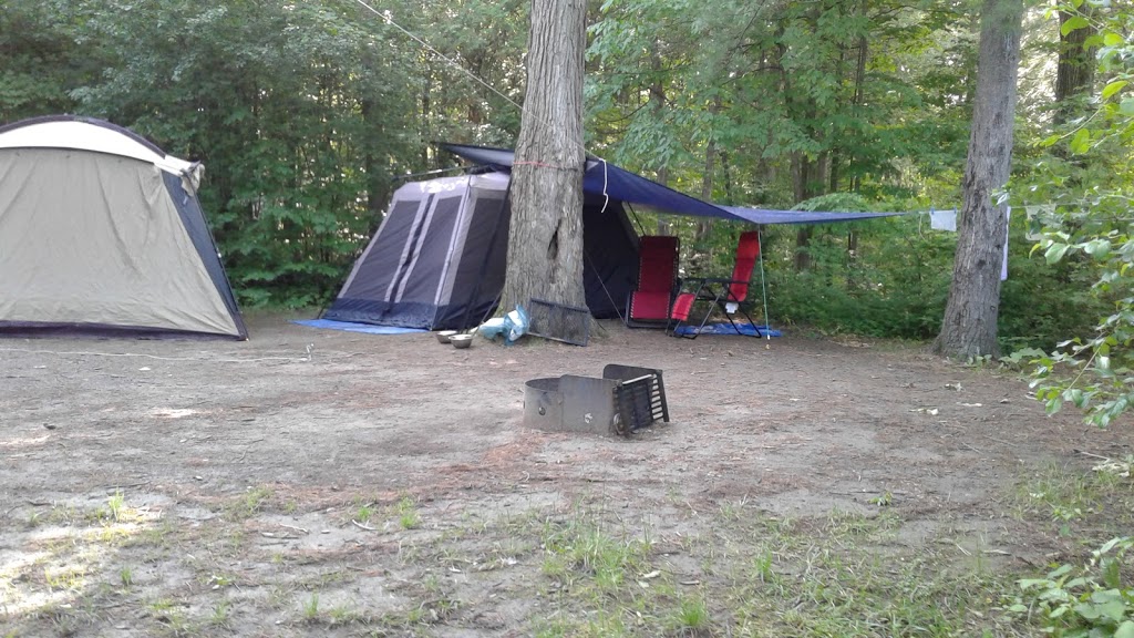 Fitzroy Provincial Park | 5201 Canon Smith Dr, Fitzroy Harbour, ON K0A 1X0, Canada | Phone: (613) 623-5159