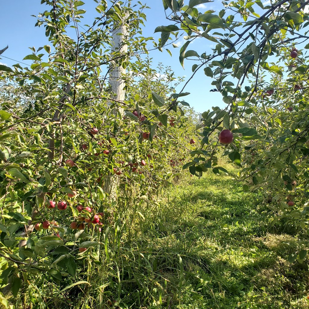 Les 7 fruits du château | 1172 Chemin de la Montagne, Mont-Saint-Hilaire, QC J3G 4S6, Canada | Phone: (450) 467-9965