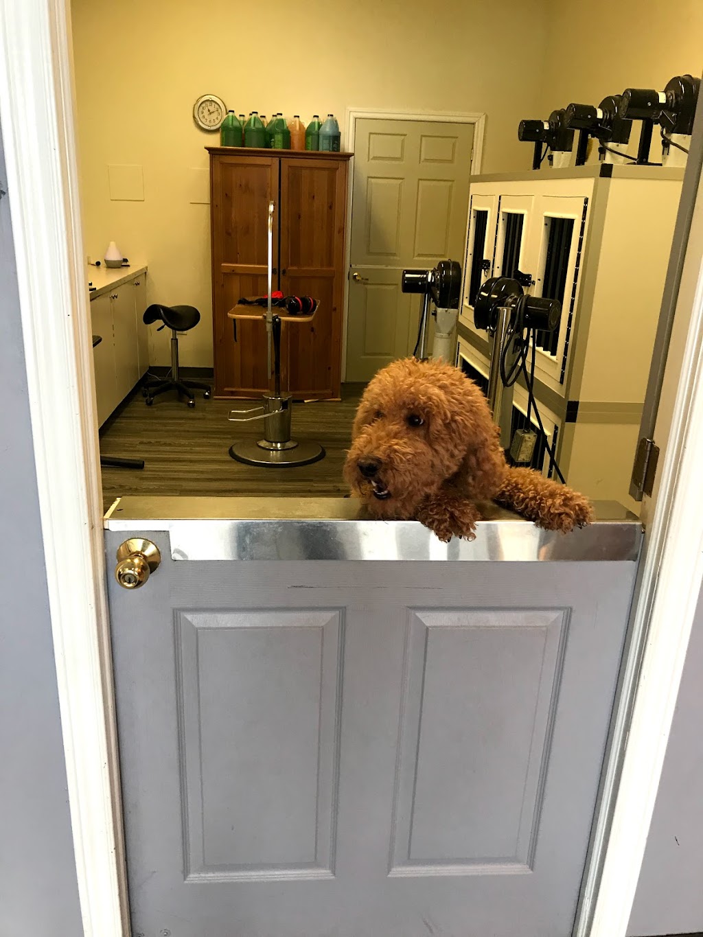 Spawsys Dog Grooming | 275 Av Elm #11, Beaconsfield, QC H9W 2E4, Canada | Phone: (514) 505-4769
