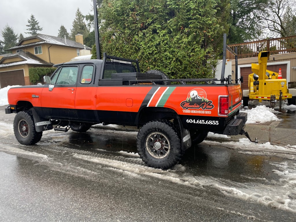 Mountain View Tree Service Inc. | 21092 Stonehouse Ave, Maple Ridge, BC V2X 8L9, Canada | Phone: (604) 615-6855