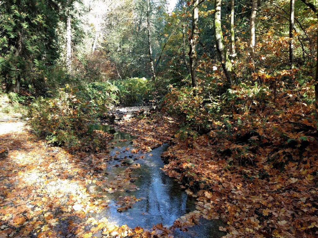 Byrne Creek Ravine Park | 6555 Byrnepark Dr, Burnaby, BC V5E 4L4, Canada | Phone: (604) 294-7450