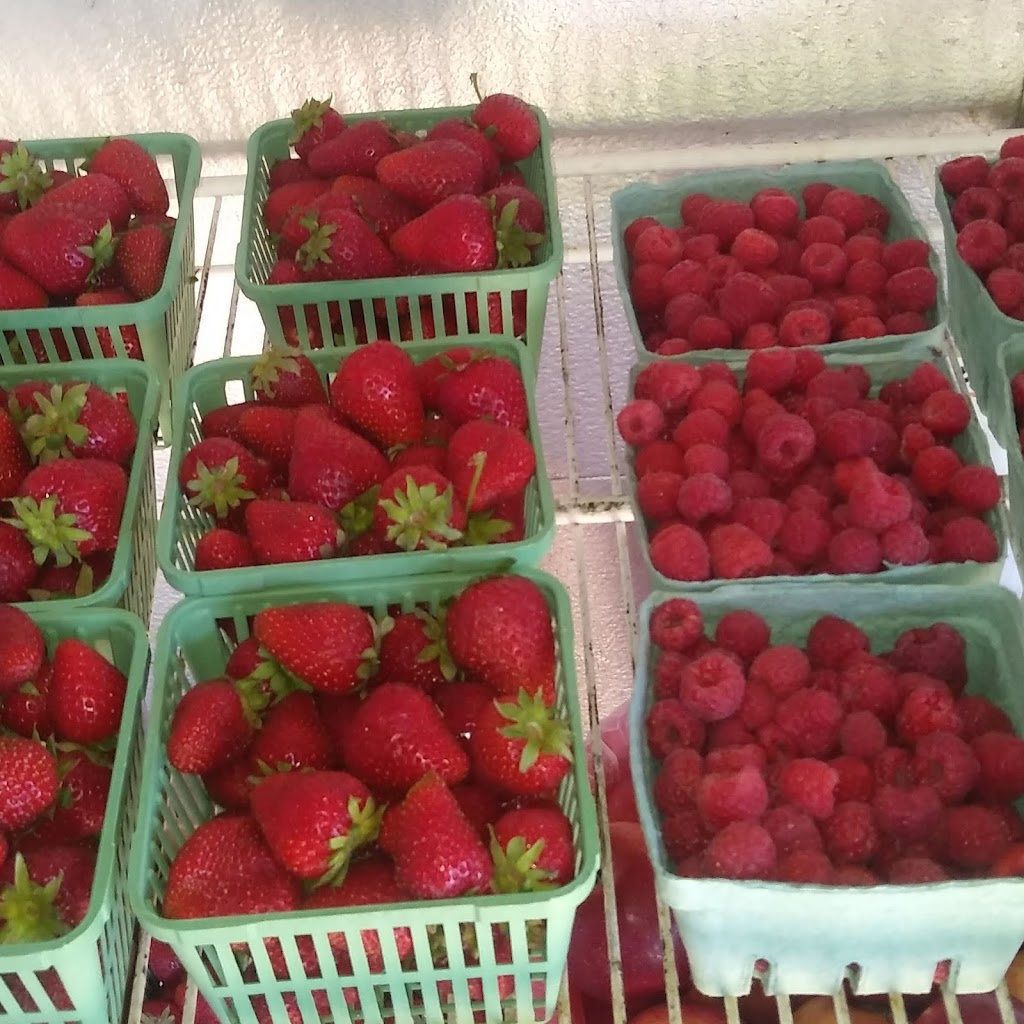 Scotview Orchards | 159 Norwich Rd, Scotland, ON N0E 1R0, Canada | Phone: (519) 446-2476